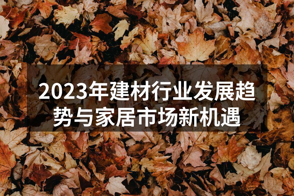 2023年建材行业发展趋势与家居市场新机遇